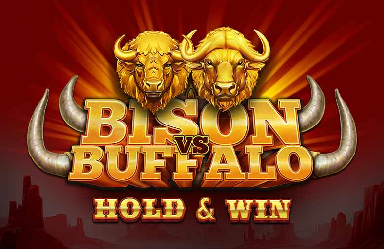 BISON VS BUFFALO
