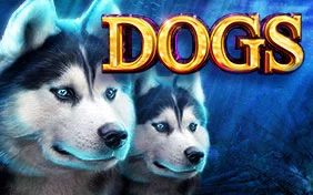 DOGS