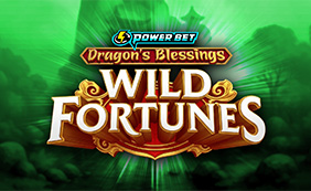 DRAGON'S BLESSINGS:WILD FORTUNES