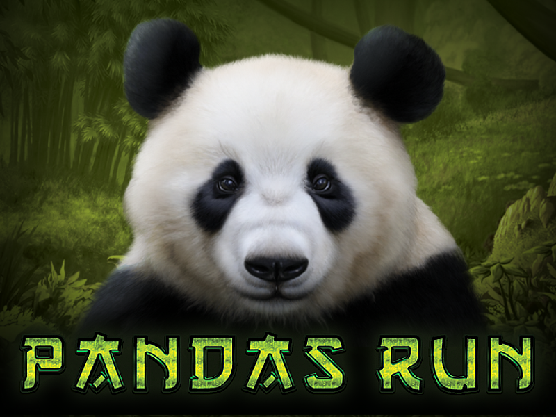 PANDAS RUN