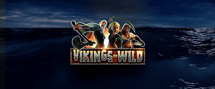 VIKINGS GO WILD