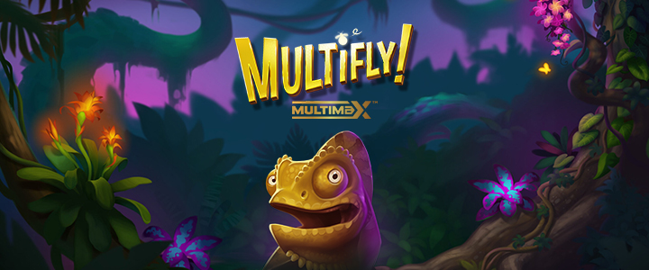 MULTIFLY!