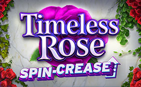 TIMELESS ROSE