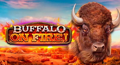 BUFFALO ON FIRE!