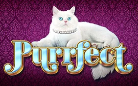 PURRFECT