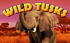 WILD TUSKS