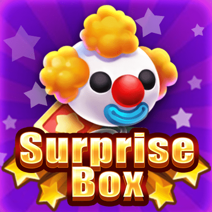 SURPRISE BOX