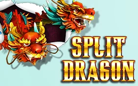 SPLIT DRAGON