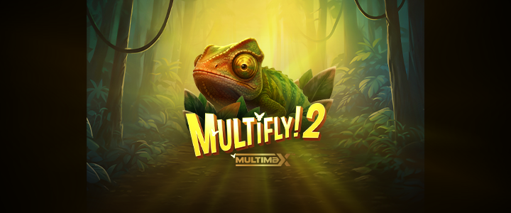 MULTIFLY! 2