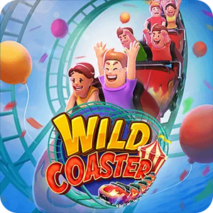 WILD COASTER