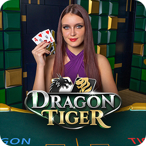 M DRAGON TIGER