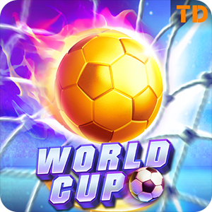 WORLD CUP