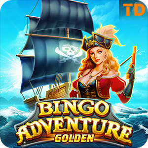 BINGO ADVENTURE